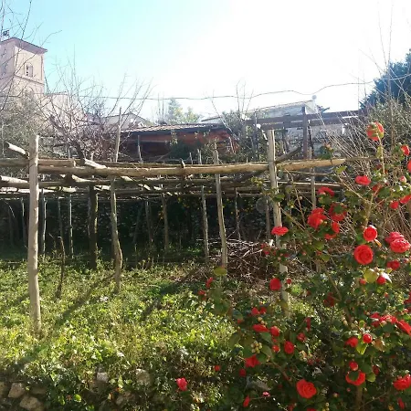 A Casa Di Pissi - Apartamento Ravello