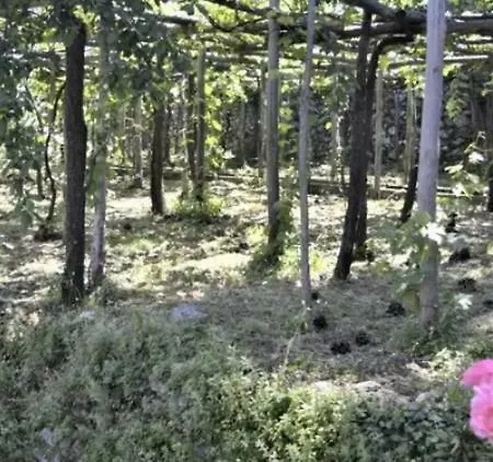 A Casa Di Pissi - Ravello