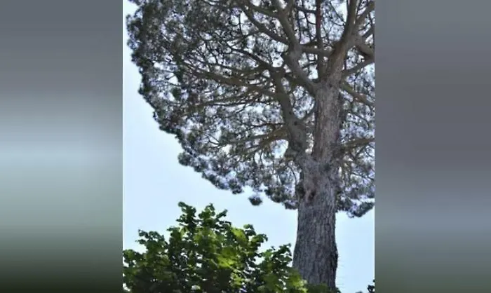 Apartamento Casa Aurora Ravello